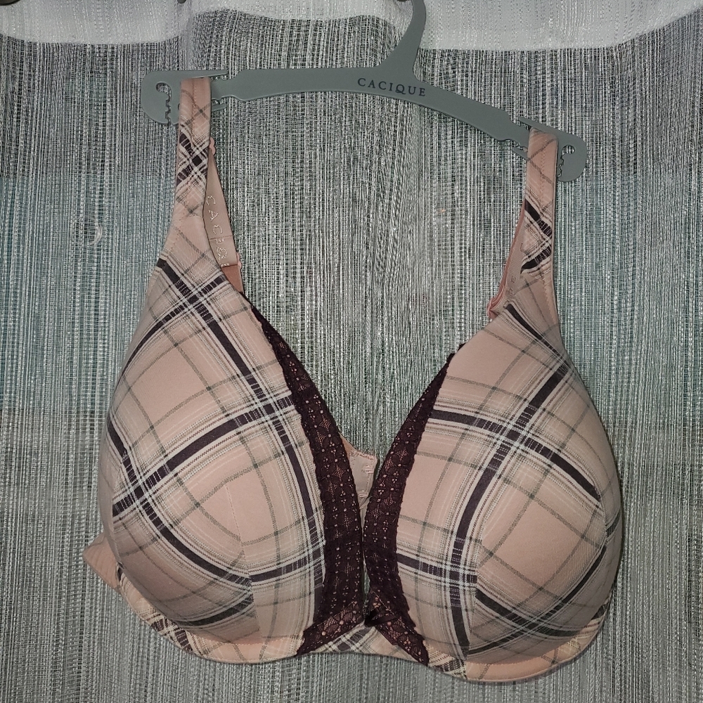 Lane Bryant, 44d, pink/maroon